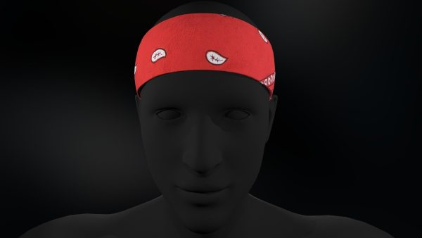 Red Paisley Bandana