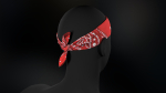 Red Paisley Bandana