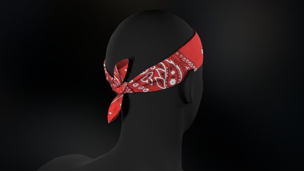 Red Paisley Bandana
