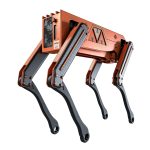 Robot Dog