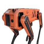 Robot Dog