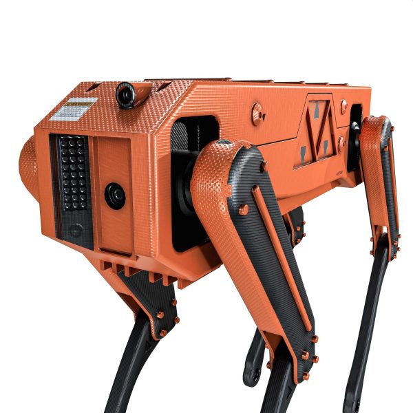 Robot Dog