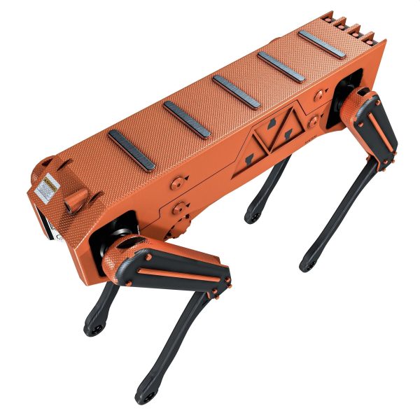 Robot Dog