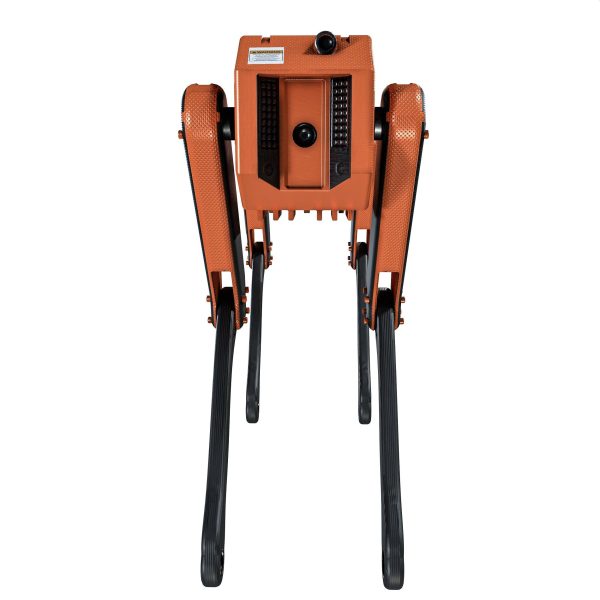 Robot Dog