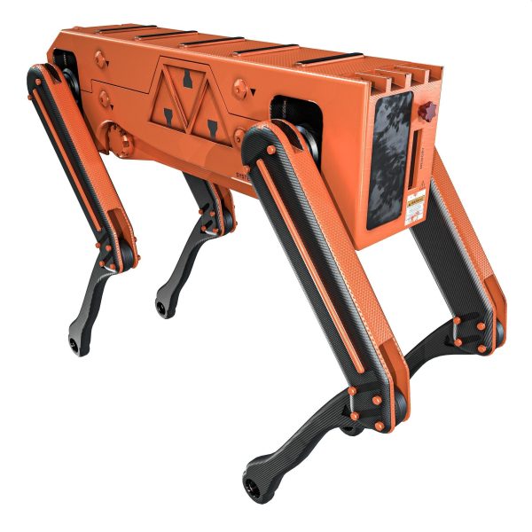 Robot Dog