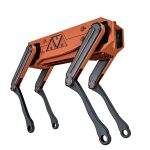 Robot Dog