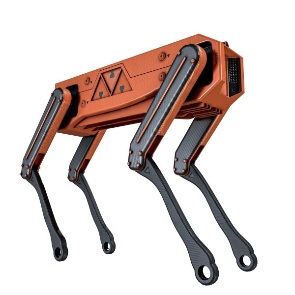 Robot Dog