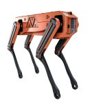 Robot Dog