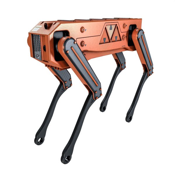 Robot Dog