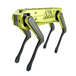 Robot Dog