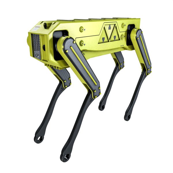 Robot Dog