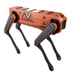 Robot Dog