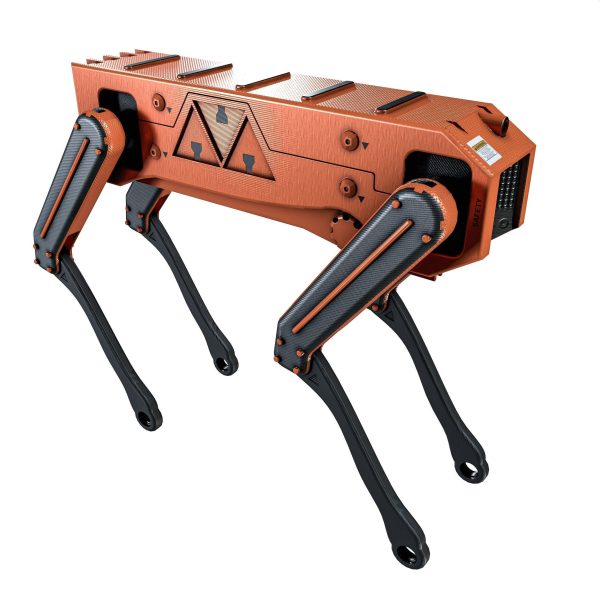 Robot Dog