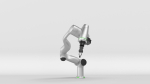 Robotic Arm Agile Diana