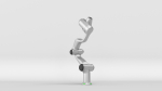 Robotic Arm Agile Diana