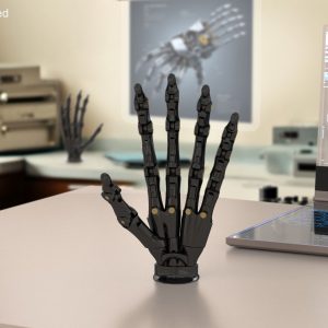 Robotic Hand Black