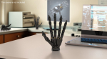 Robotic Hand Black