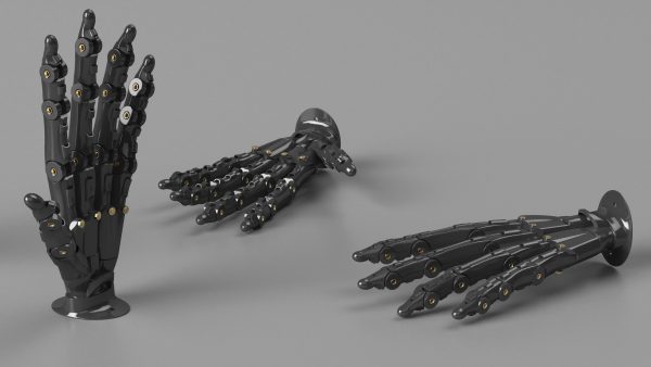 Robotic Hand Black