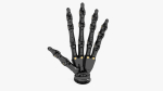 Robotic Hand Black