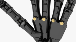 Robotic Hand Black