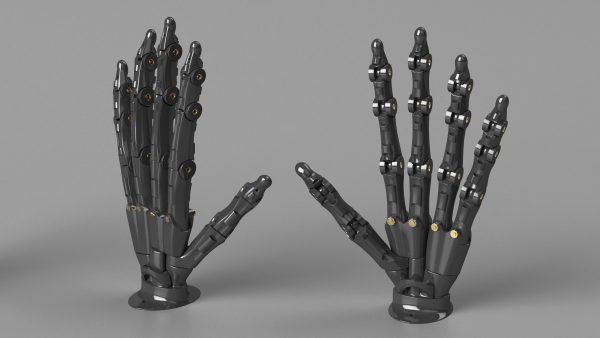 Robotic Hand Black
