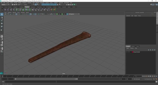 Rusty Old Nail