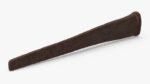 Rusty Old Nail