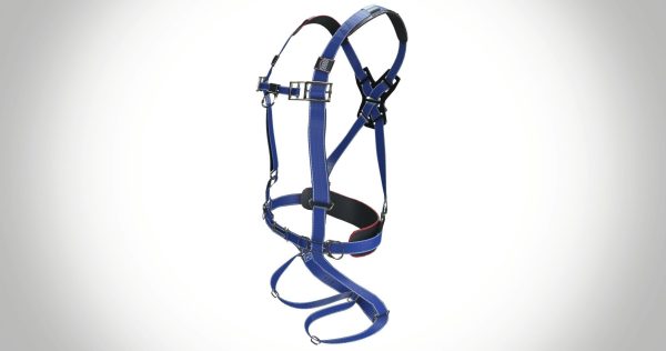 Safety Harness