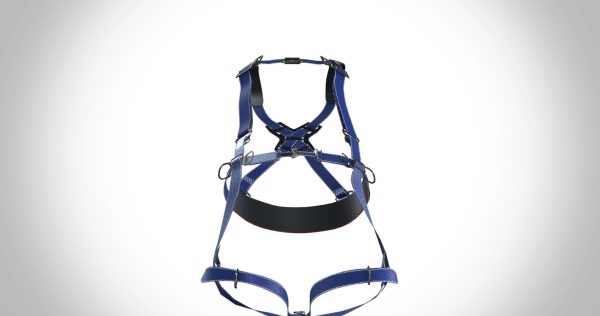 Safety Harness