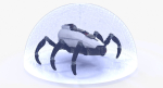 Sci-Fi Spider