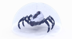 Sci-Fi Spider