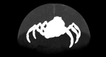 Sci-Fi Spider