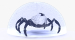 Sci-Fi Spider