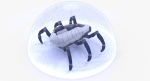 Sci-Fi Spider