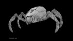 Sci-Fi Spider Animated