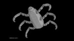 Sci-Fi Spider Animated