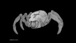 Sci-Fi Spider Animated