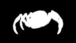 Sci-Fi Spider Animated