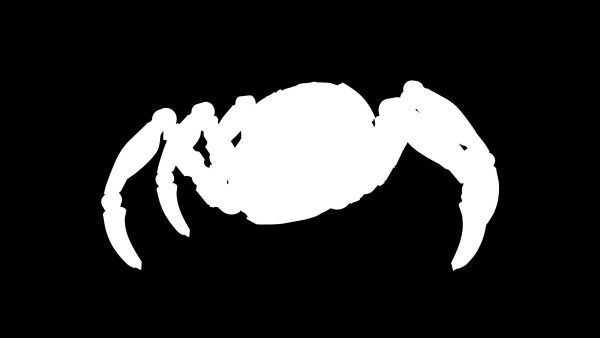 Sci-Fi Spider Animated