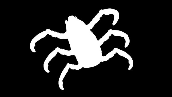 Sci-Fi Spider Animated