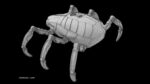 Sci-Fi Spider Animated