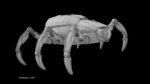 Sci-Fi Spider Animated