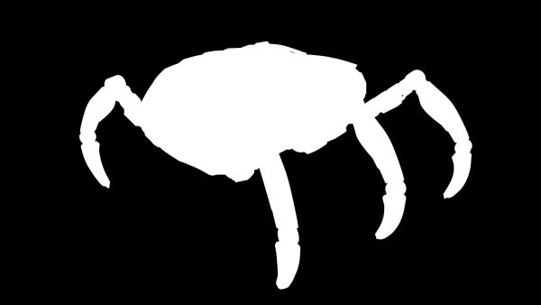 Sci-Fi Spider Animated