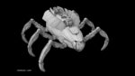 Sci-Fi Spider Animated