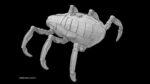 Sci-Fi Spider Animated
