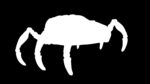 Sci-Fi Spider Animated