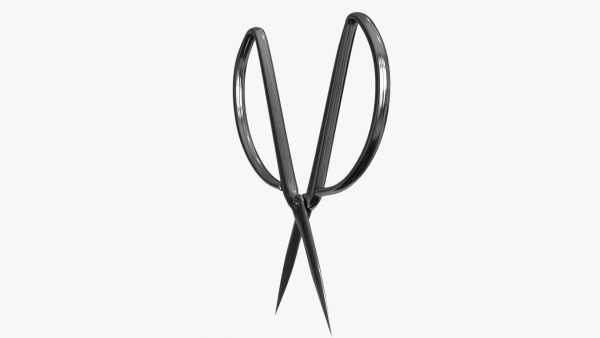 Scissors sword