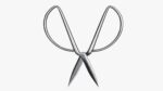 Scissors sword