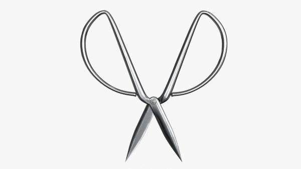 Scissors sword