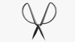 Scissors sword